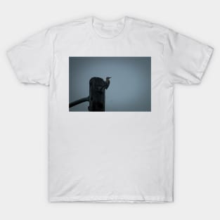 hll woodpecker T-Shirt